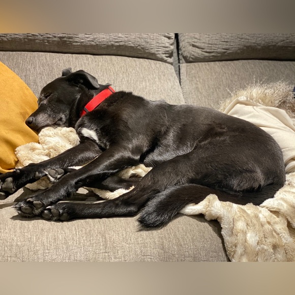 Live Shows and Share - We are LIVE!! - Picture 12 of 14